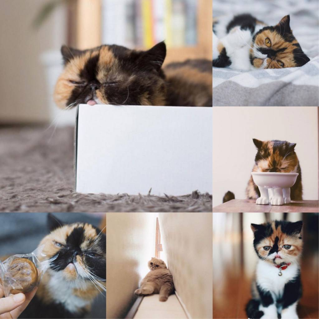 Reprodução/Instagram Reprodução/Instagram