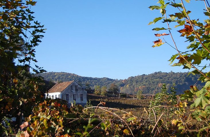 Bento Gonçalves (RS) Bento Gonçalves (RS)