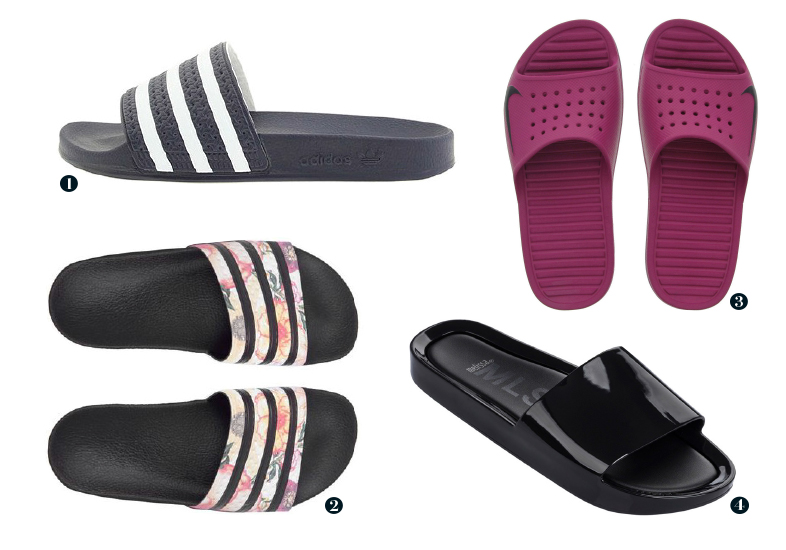 Divulga&ccedil;&atilde;o