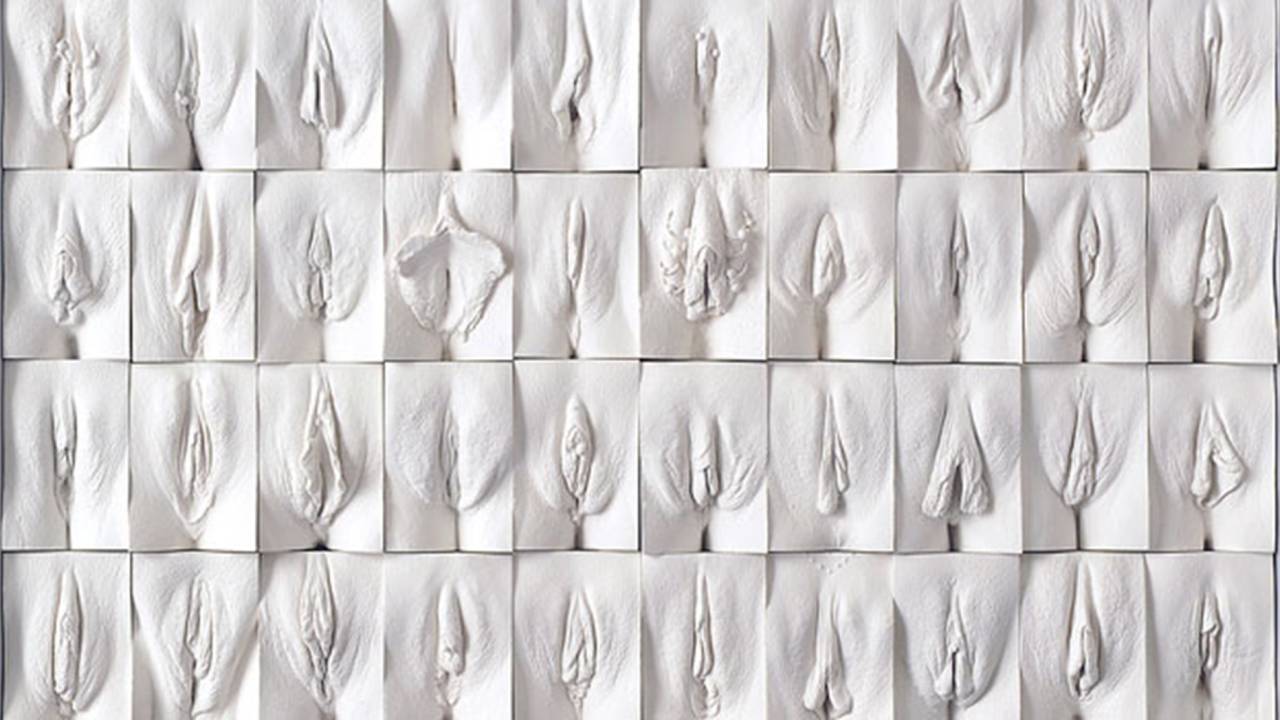 Great Wall of Vagina/Jamie McCartney