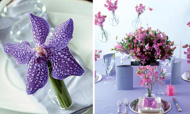 Orquídea roxa decorando os pratos e vasos pendurados com flores lilás Orquídea roxa decorando os pratos e vasos pendurados com flores lilás