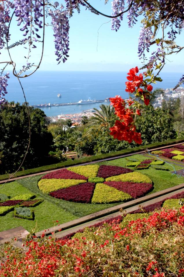 Jardim Jardim
