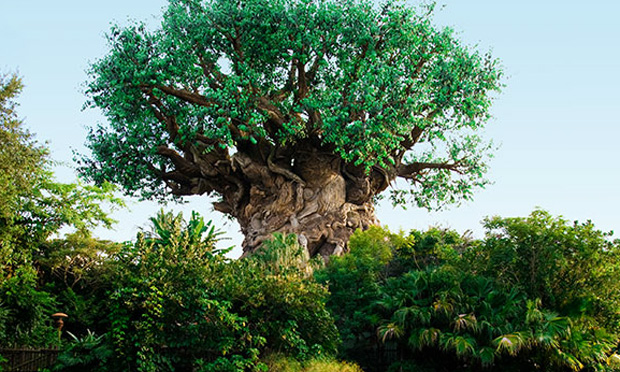 Disney?s Animal Kingdom Disney?s Animal Kingdom