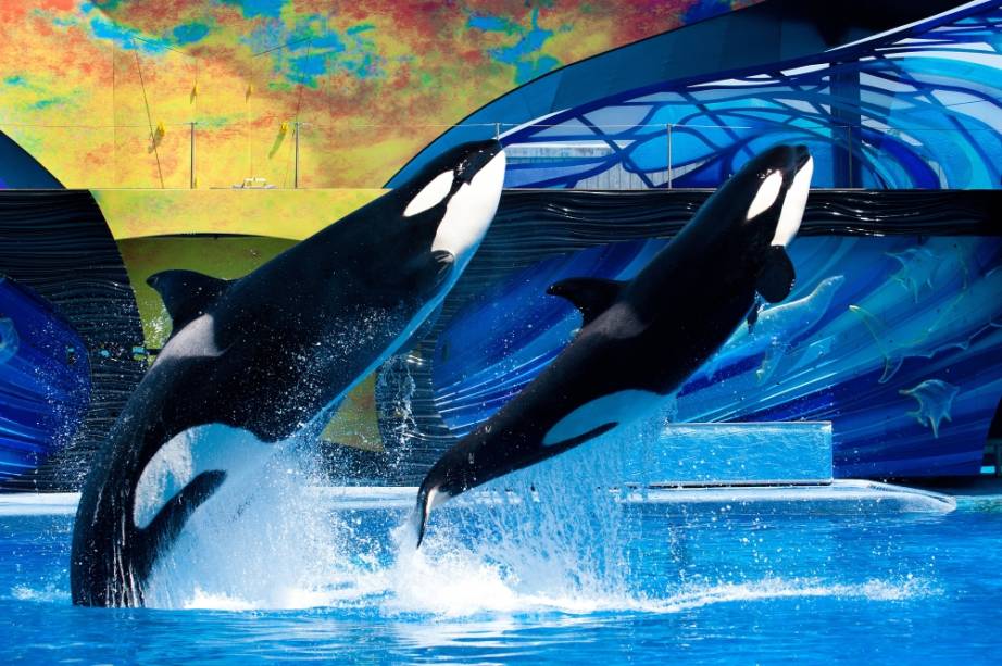 SeaWorld Parks & Entertainment