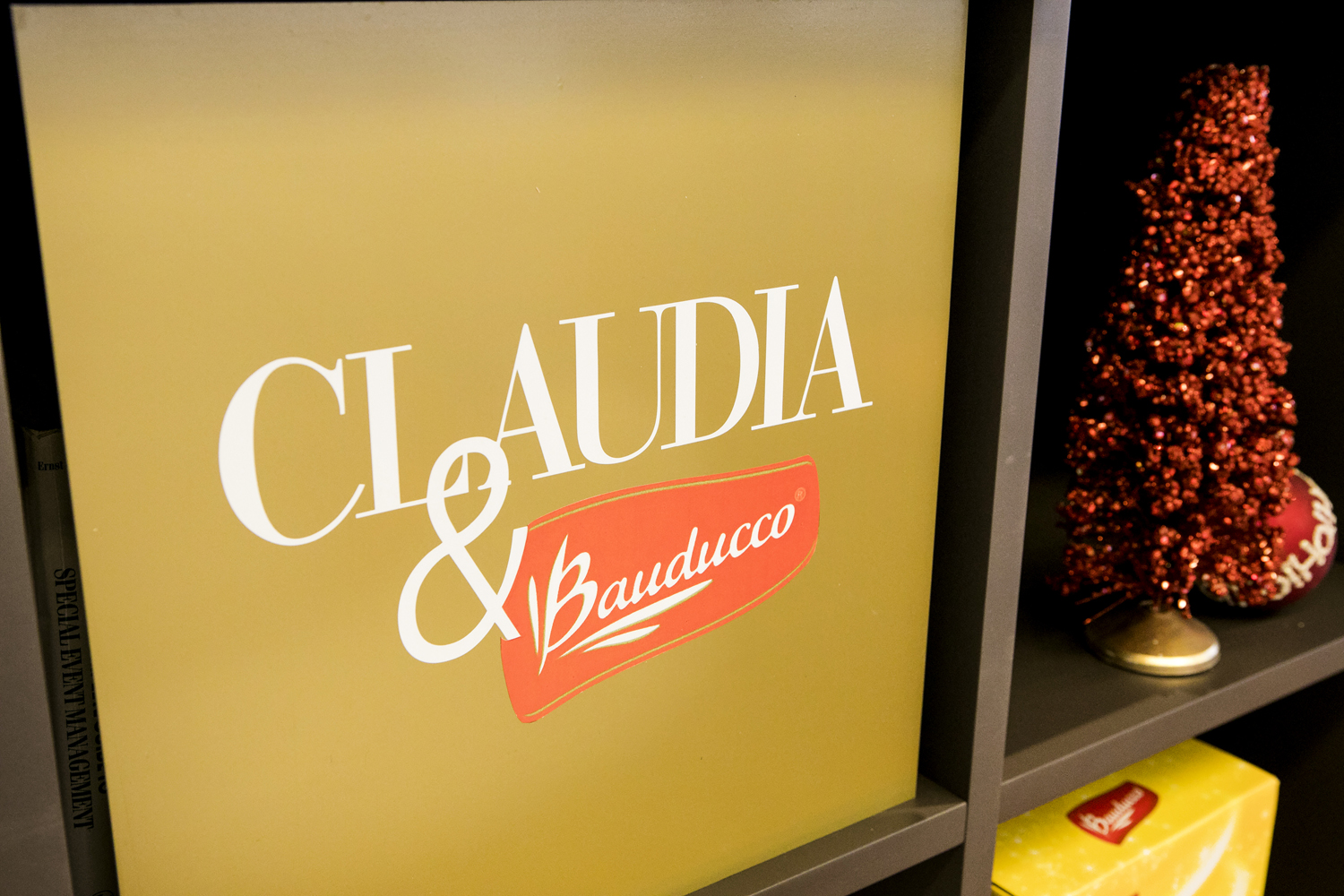 claudia-e-bauducco-workshop-dos-sonhos