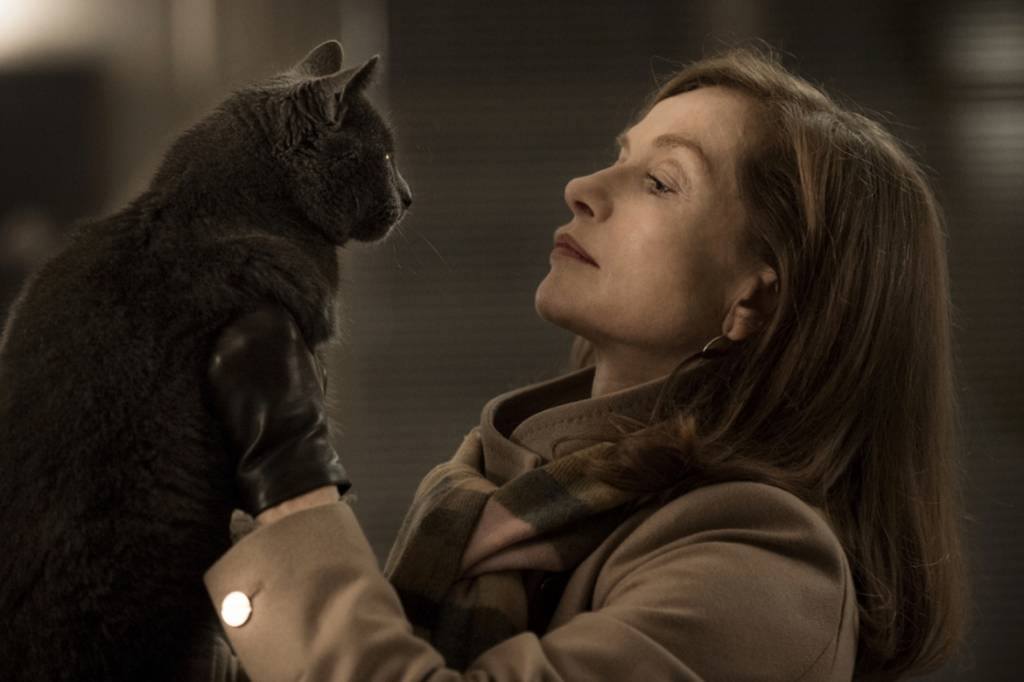 Eu não sabia que era possível amar um gato