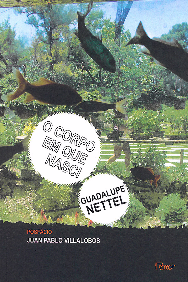 o-corpo-em-que-nasci o-corpo-em-que-nasci