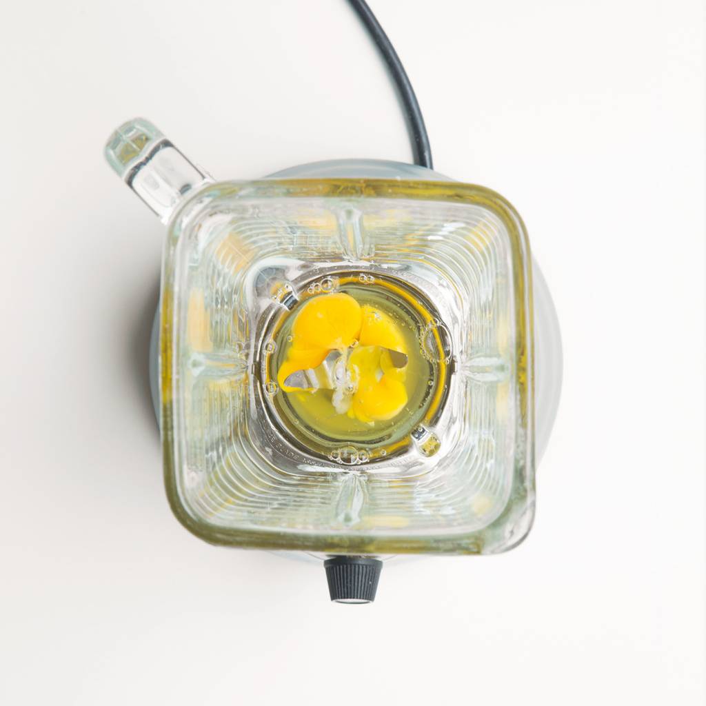 ClaudiaMaio-1198.tif