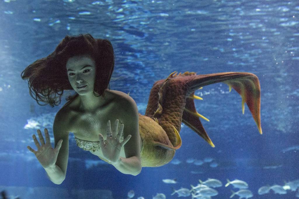 ritinha-sereia