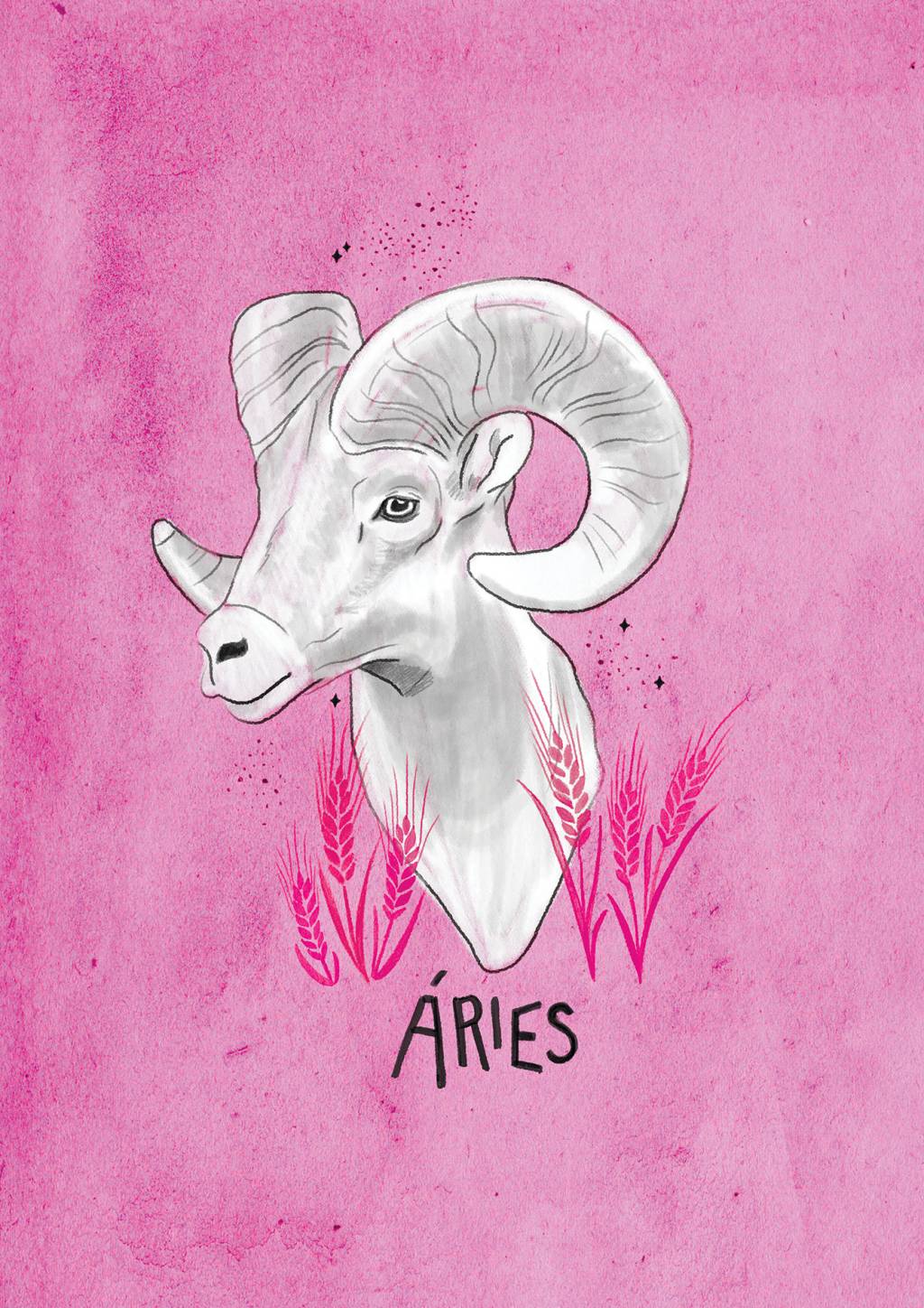 aries aries