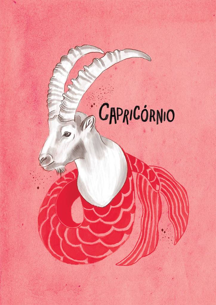 capricornio capricornio