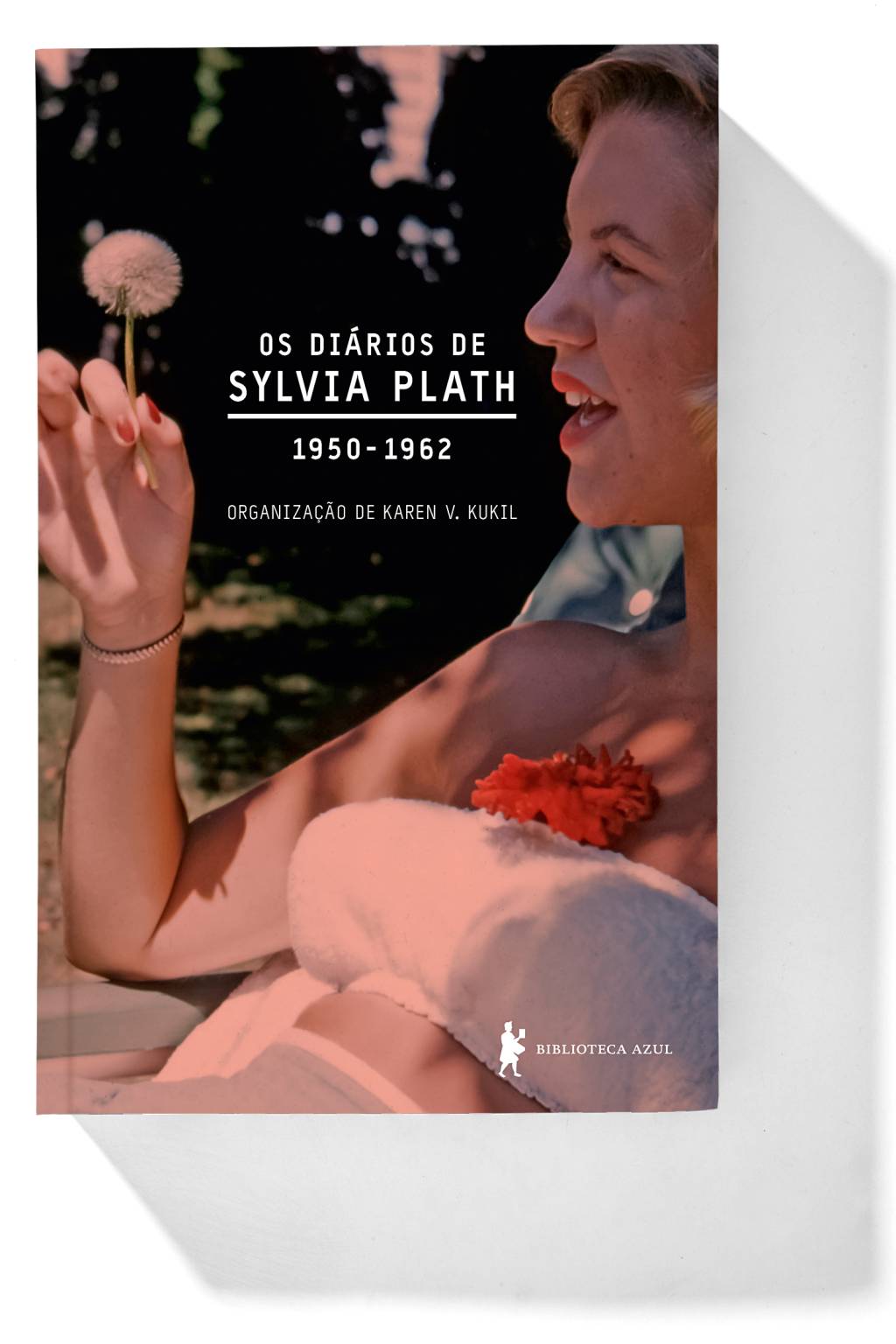 diarios-sylvia-plath