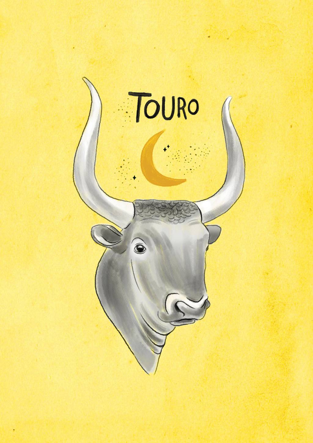 touro touro