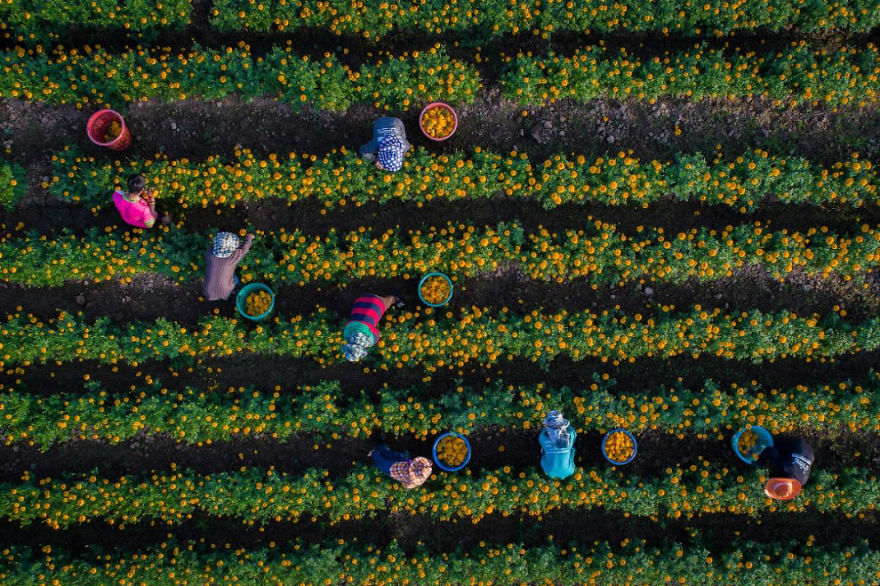 foto-drone13