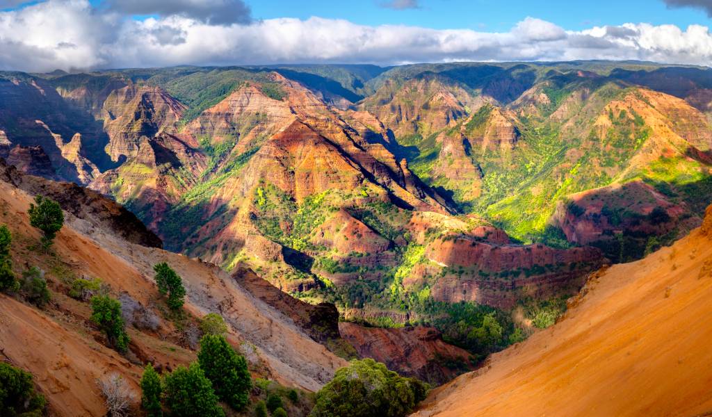 Waimea Canyon