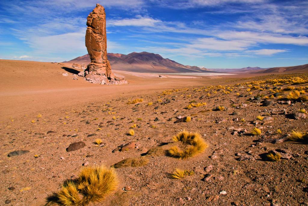 Salar de Tara