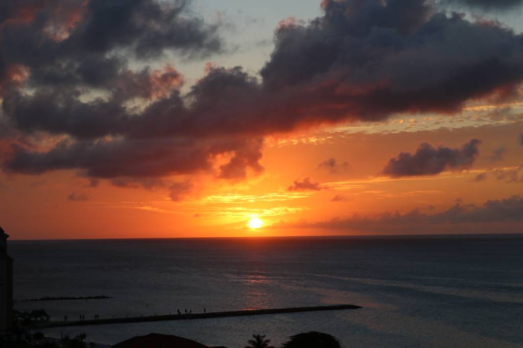 IMG_0778 IMG_0778