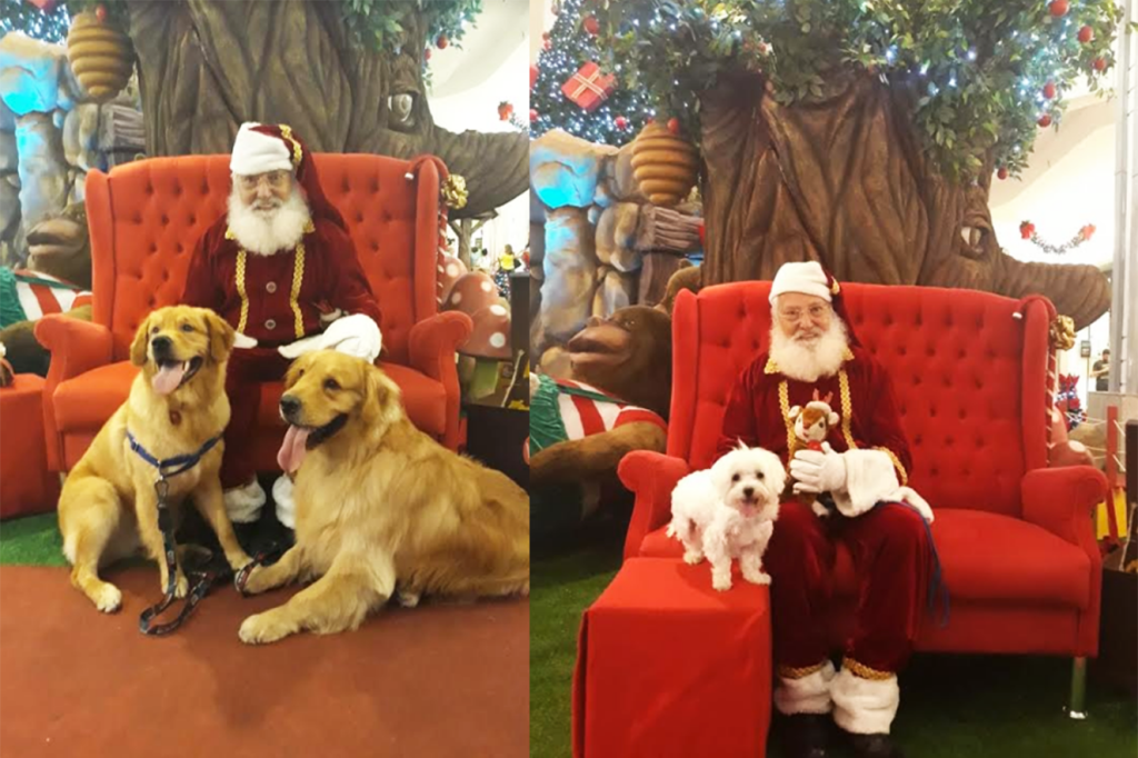 papai-noel-pets-Recreio-Shopping