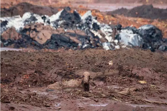 Brumadinho