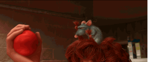 giphy tomates giphy tomates