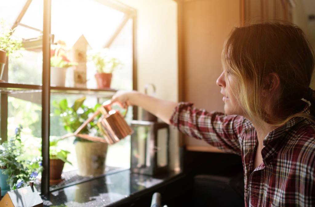 Woman watering plants at home Woman watering plants at home