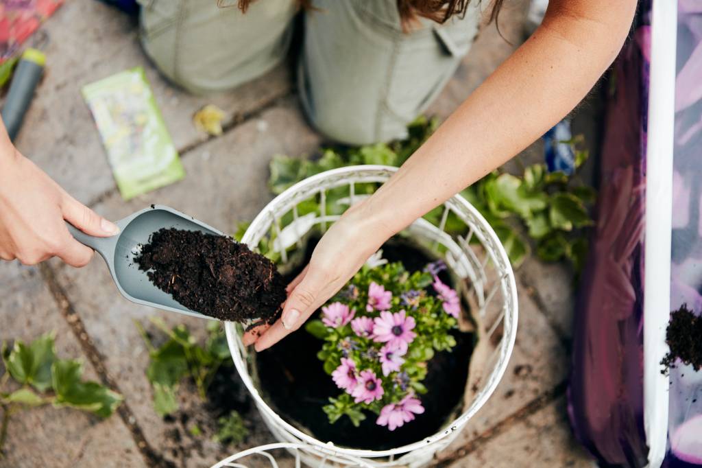 A woman planting up a basket with flowers, and adding soil around the base of the plant. A woman planting up a basket with flowers, and adding soil around the base of the plant.