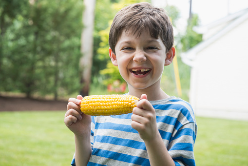 Caucasian boy eating corn on the cob Caucasian boy eating corn on the cob