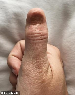 sem-unha sem-unha