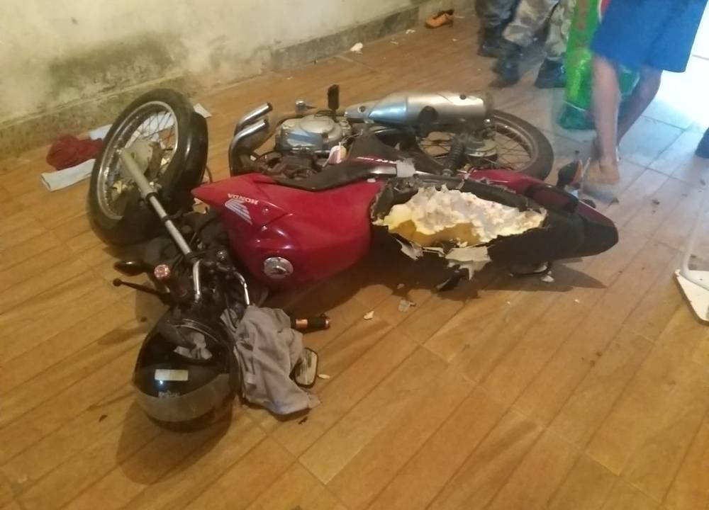 crianca resgatada ataque de pitbull