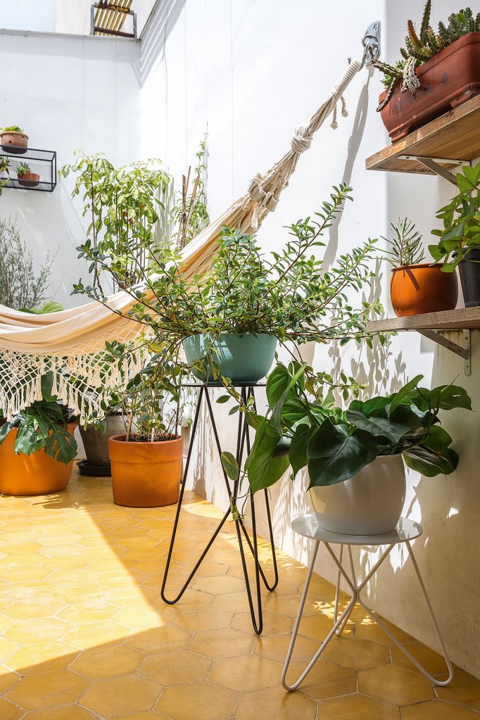 Plantas e vasos na decoração