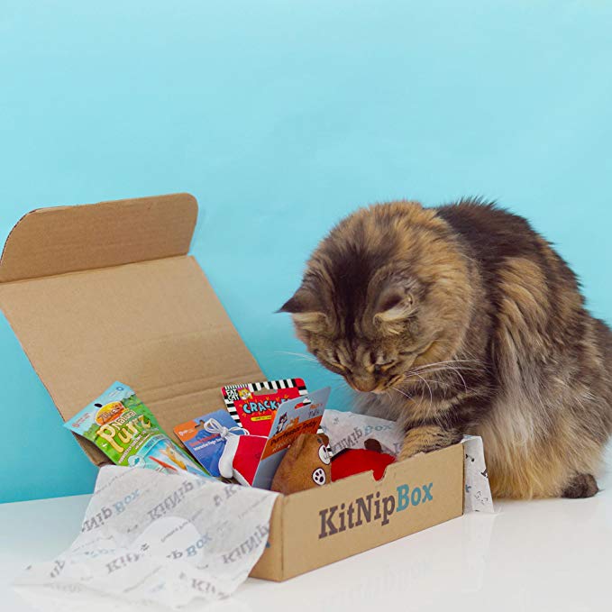 KitNipbox KitNipbox