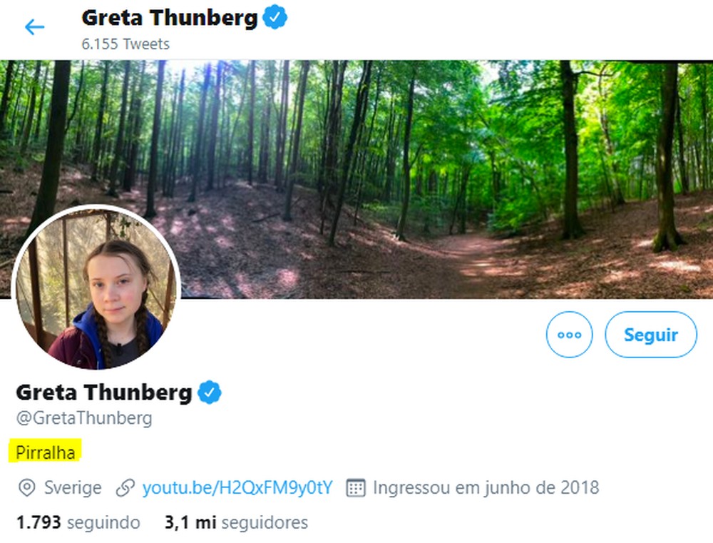 greta-twitter greta-twitter