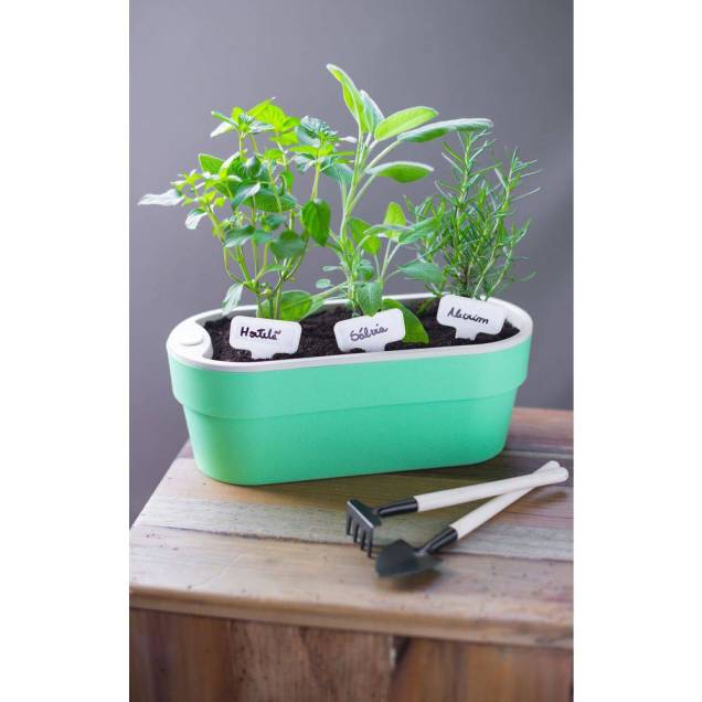 Horta Autoirrigável linha Plantar HT 180 , de polipropileno, com reservatório de água fechado. <a href="https://www.casaevideo.com.br/hortinha-autoirrigavel-ht180-ou-verde/p?idsku=13453&gclid=EAIaIQobChMIksetsqfu4wIVChKRCh0bwQnHEAQYBSABEgJfd_D_BwE" target="_blank" rel="noopener">Casa & Vídeo</a>, R$ 29,99 Horta Autoirrigável linha Plantar HT 180 , de polipropileno, com reservatório de água fechado. <a href="https://www.casaevideo.com.br/hortinha-autoirrigavel-ht180-ou-verde/p?idsku=13453&gclid=EAIaIQobChMIksetsqfu4wIVChKRCh0bwQnHEAQYBSABEgJfd_D_BwE" target="_blank" rel="noopener">Casa & Vídeo</a>, R$ 29,99