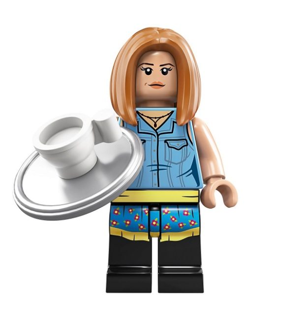 Coleção LEGO Ideas: ‘Friends’ Coleção LEGO Ideas: 'Friends'