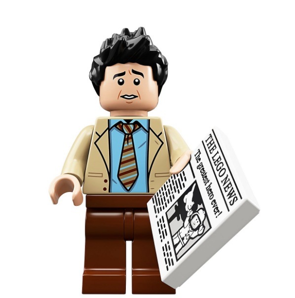 Coleção LEGO Ideas: ‘Friends’ Coleção LEGO Ideas: 'Friends'