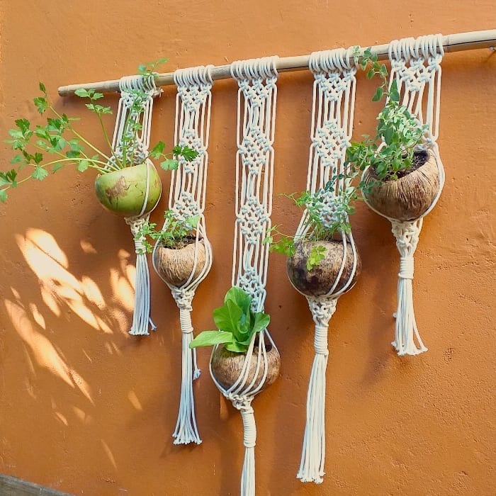 horta na varanda horta na varanda