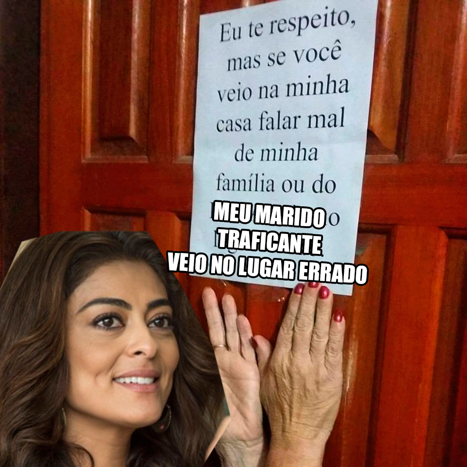 a-forca-do-querer-placa-bibi