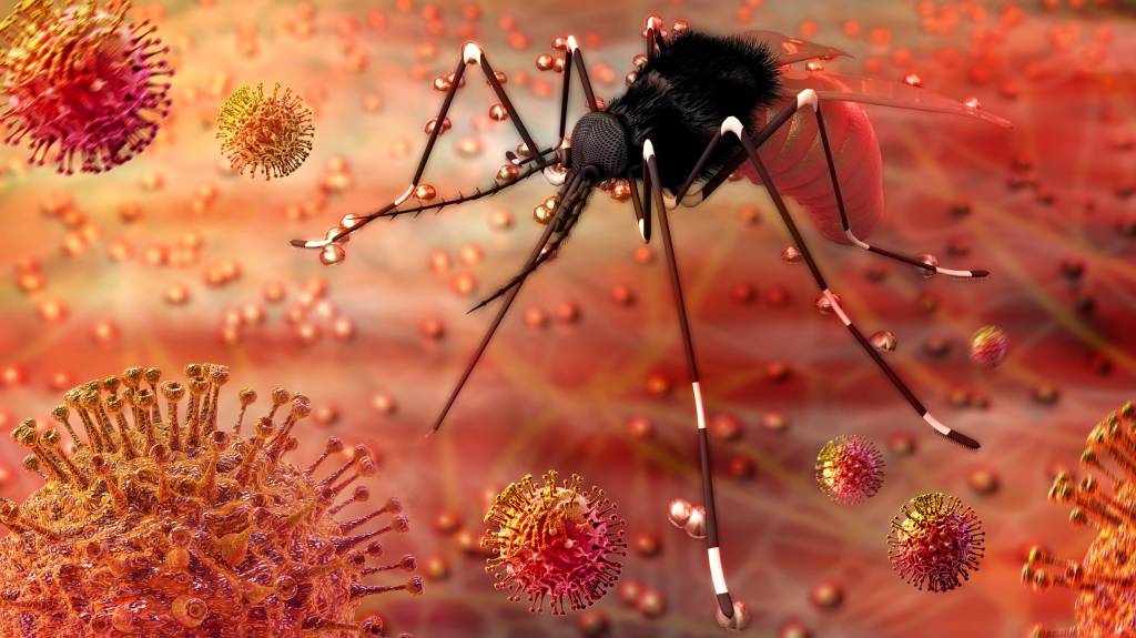 Dá para pegar dengue por contato sexual? Europa confirma primeiro caso