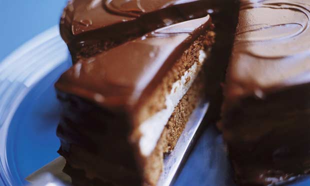 bolo-gelado-de-chocolate-rc3b4mulo-fialdini1