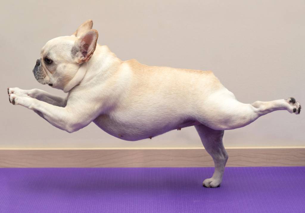 7 cuidados da rotina que melhoram a postura corporal