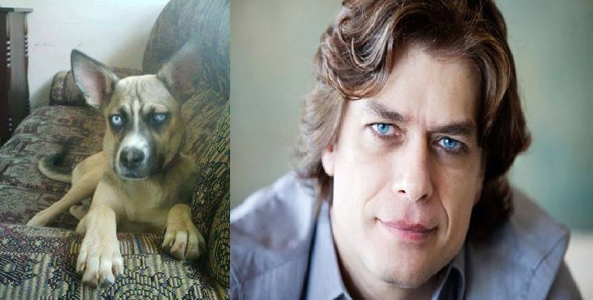 Reprodução/Facebook Reprodução/Facebook