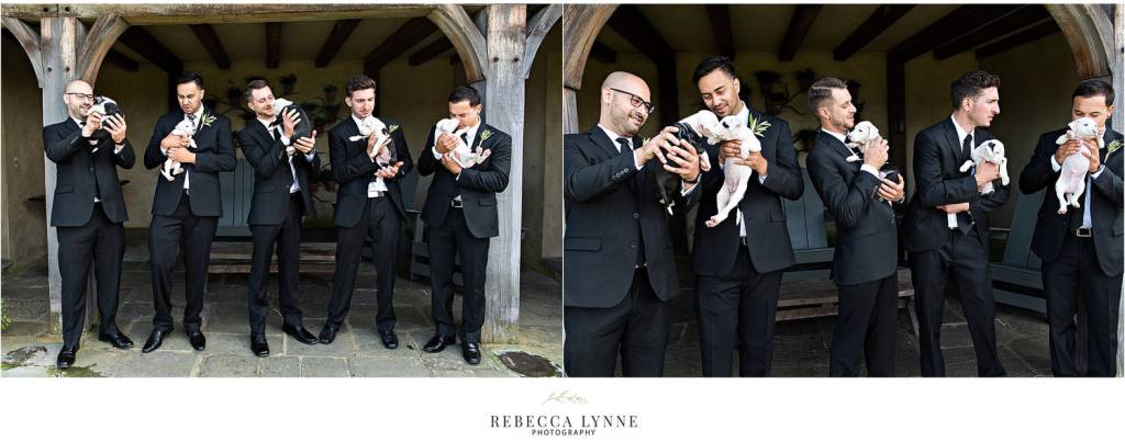 casamento-com-filhotes5