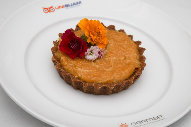 cheesecake-vegano-com-flores-comestc3adveis cheesecake-vegano-com-flores-comestc3adveis
