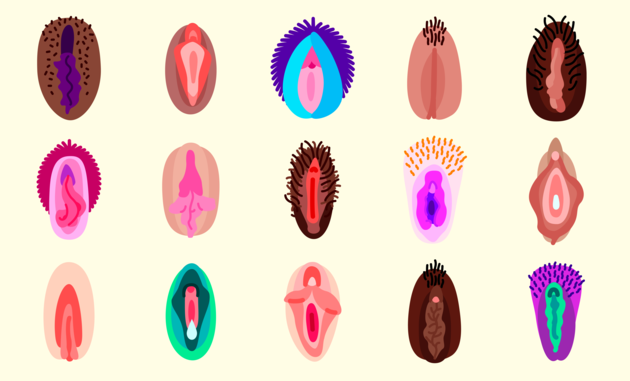 vaginas