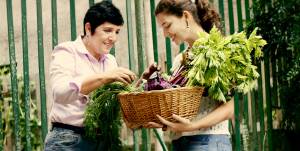 farmcityfototroca1