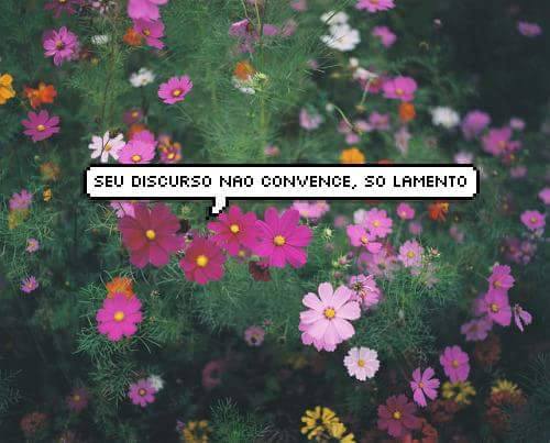 Reprodução Reprodução