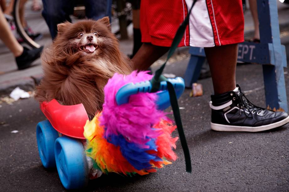 Parada LGBT de Nova York, em 2016