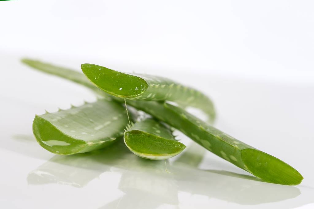 Babosa: saiba como usar em benefício da pele e do cabelo