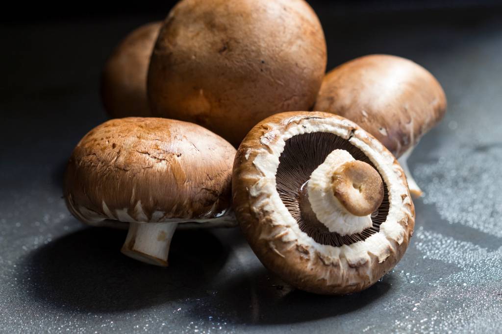 Champignon Fresh Agaricus bisporus mushrooms