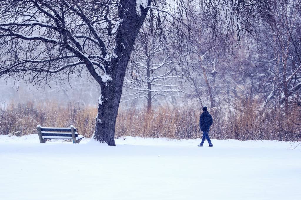 Cidadão anônimo paga hotel para 70 moradores de rua no frio de Chicago